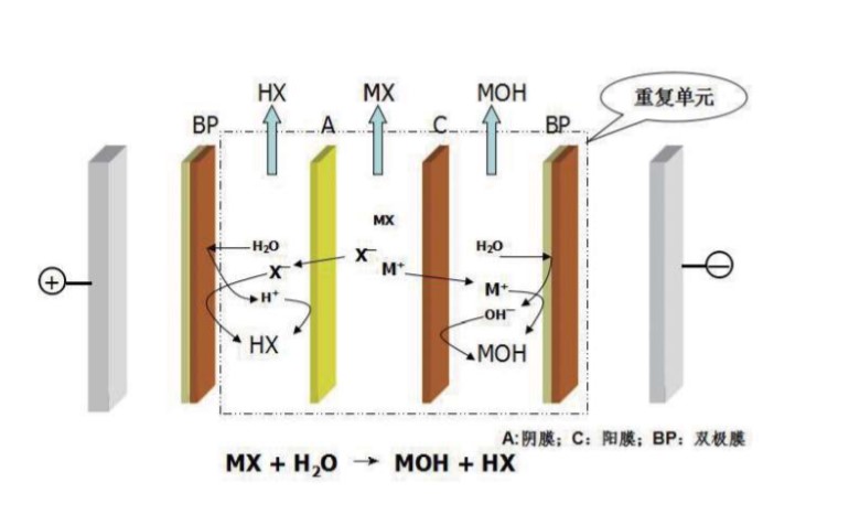 bipolar membrane